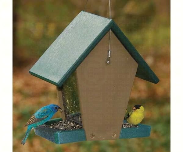 Recycled Plastic Small Hopper Songbird Essentials