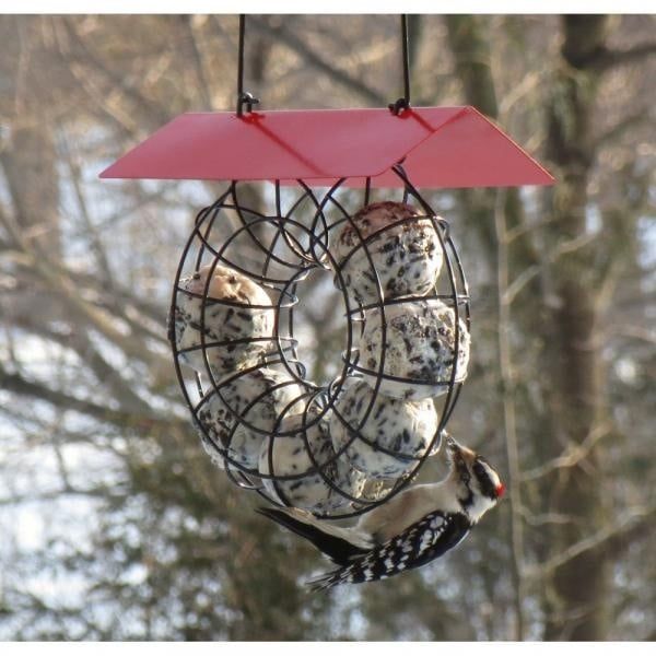 Suet Ball Feeder w/Red Roof