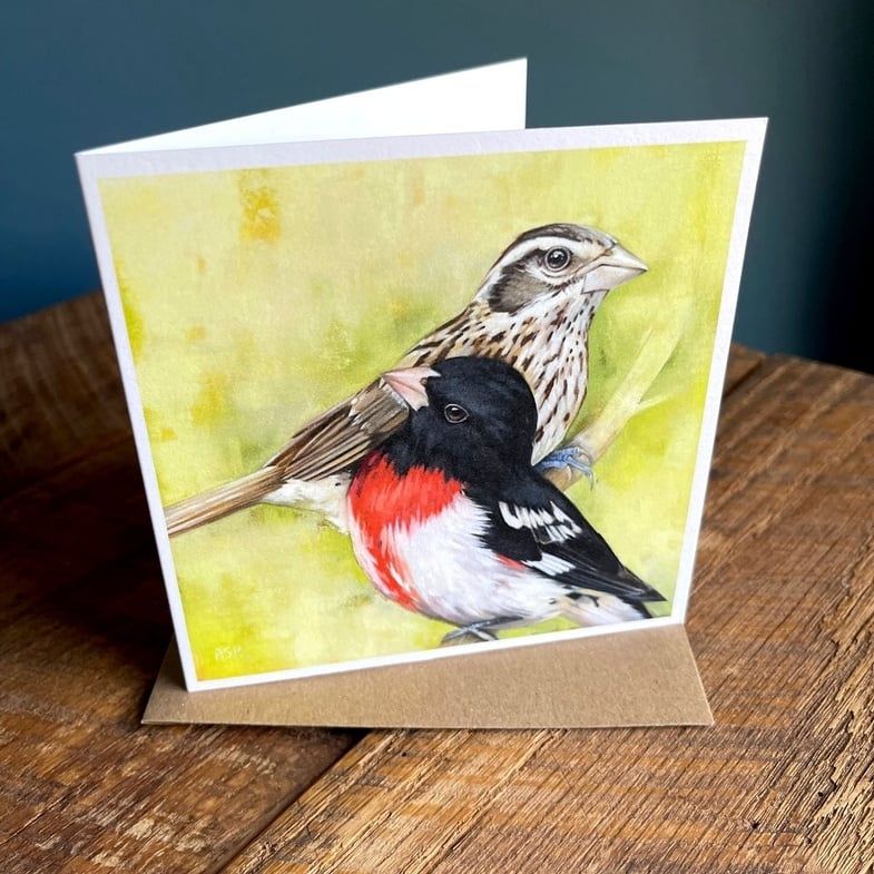 Rose Breasted Grosbeak Blank Note Cards single