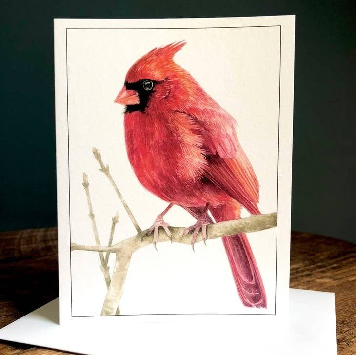 Northern Cardinal (Male) - Blank Note Card