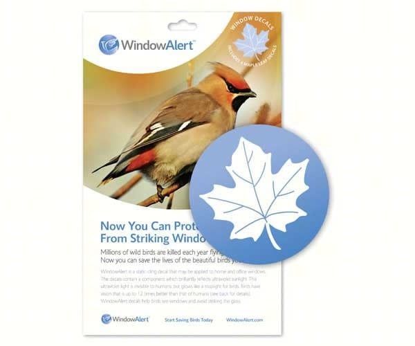 Window Decals, Design: Maple Leaf