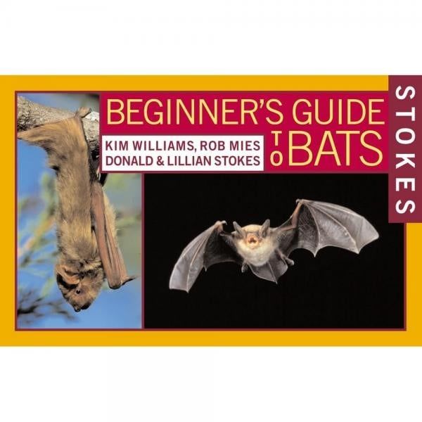 Beginner&#39;s Guide to Bats