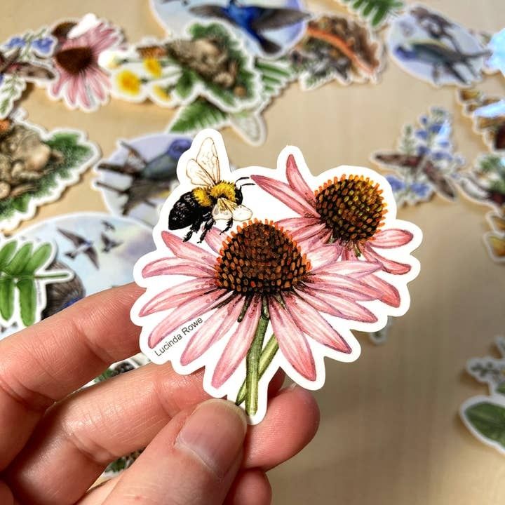 Vinyl Sticker, Design: Bumble Bee on Coneflower