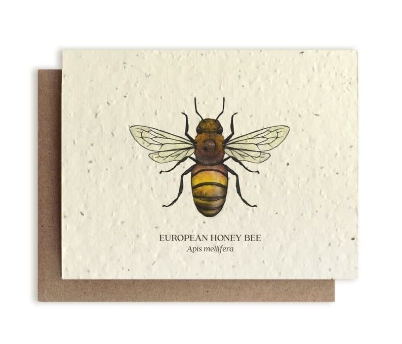 The Bower Studio Seed Card Insects, Design: Honey Bee