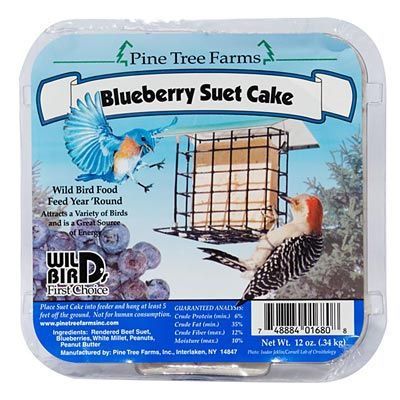 BLUEBERRY SUET single