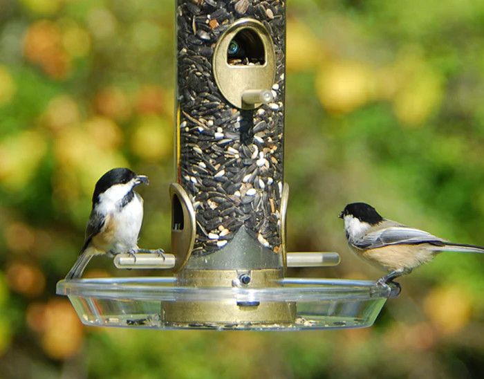 Round Seed Tray (screw on)