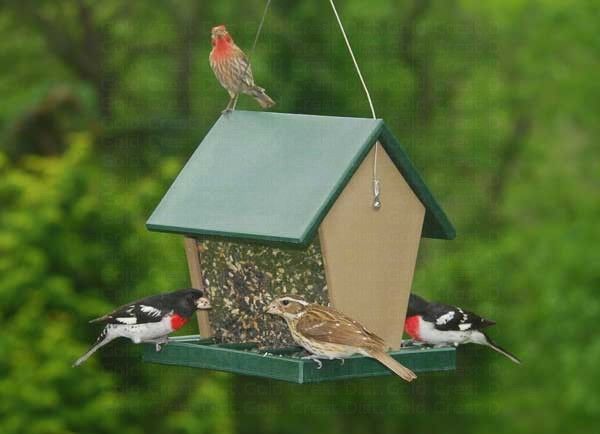 Recycled Plastic Large Hopper Songbird Essentials