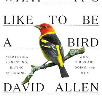 What It&#39;s Like to Be a Bird - Sibley