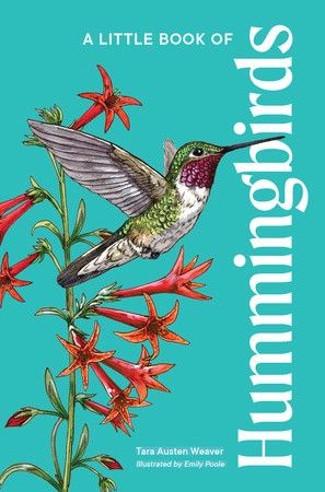 A Little Book of Hummingbirds  - Tara Weaver