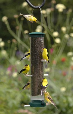 Aspects Finch Feeder