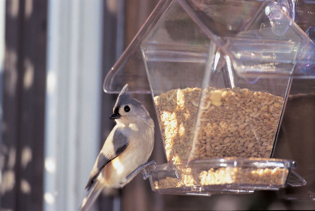 WINDOW CAFE FEEDER - HOPPER