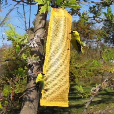 Nyjer Sock - 10 in yellow