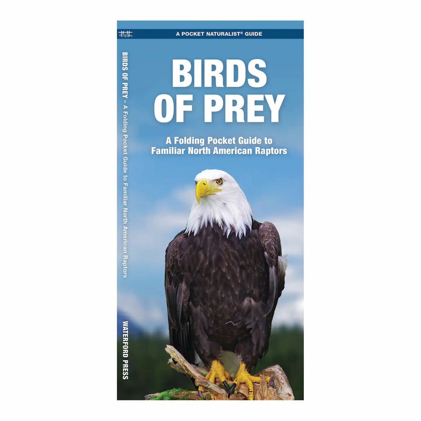 Birds of Prey Nature Guide