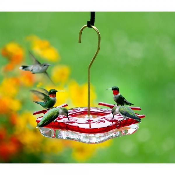 HUMMZINGER SQUARE HUMMINGBIRD FEEDER 8 OZ