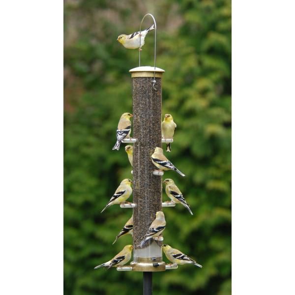 Aspects Finch Feeder Large Brass