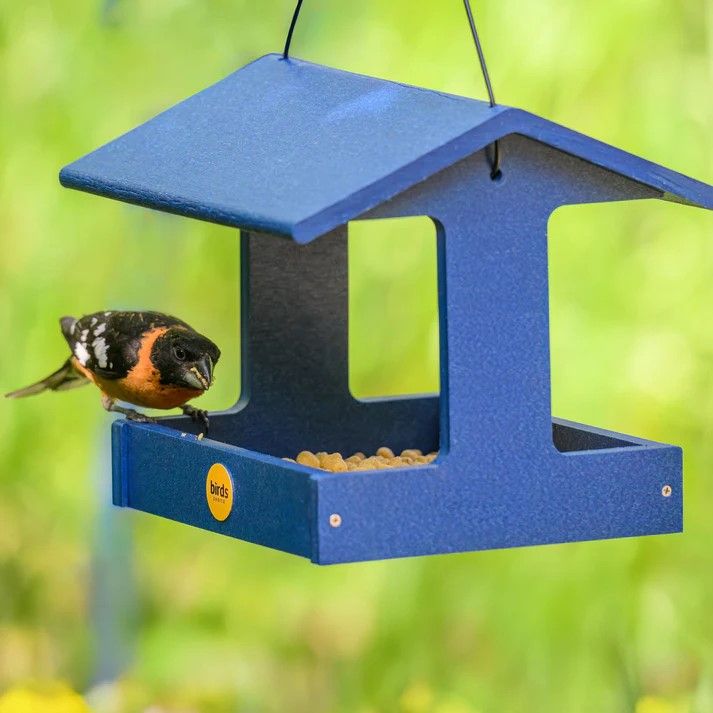 FLY-THRU BIRD FEEDER  Blue RECYCLED