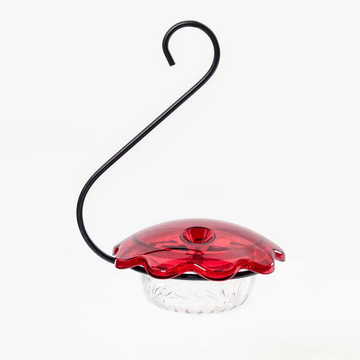 Single Cup Feeder - Hummingbird
