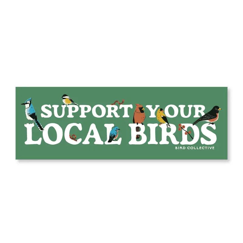 Backyard Birds Bumper Sticker