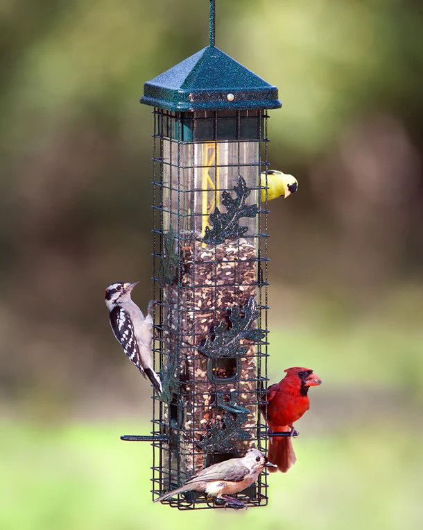 SQUIRREL SOLUTION SEED SAVER 200