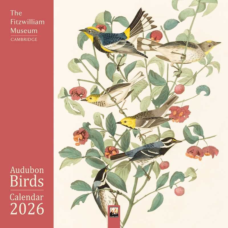 Audubon Birds Wall Calendar 2026