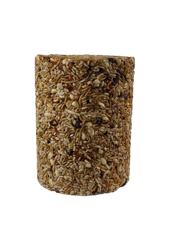 BUGS, NUTS, &amp; BERRIES Large Seed Cylinder single