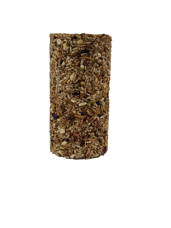 BUGS, NUTS, &amp; BERRIES Small Seed Cylinder single