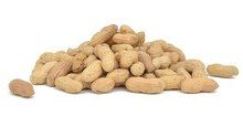 Raw Peanuts in Shell, Size: 5#