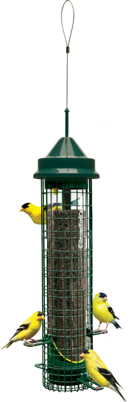 Squirrel Buster FINCH Feeder