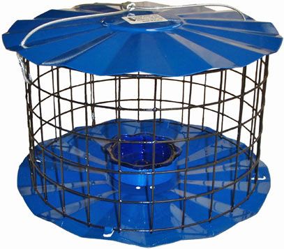 Starling Proof Feeder, Color: Blue, Size: Mealworm Dish