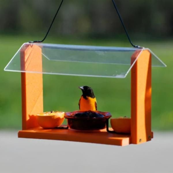Oriole Feeder