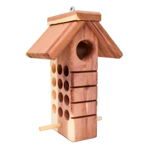 Cedar Suet Plug &amp; Peanut Butter Feeder SETC122