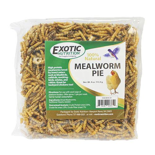 Mealworm Pie (seed cake)