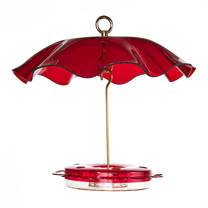 HUMMINGBIRD FEEDER -12oz w Protective Cover w/ Scalloped Edges (Weatherguard)