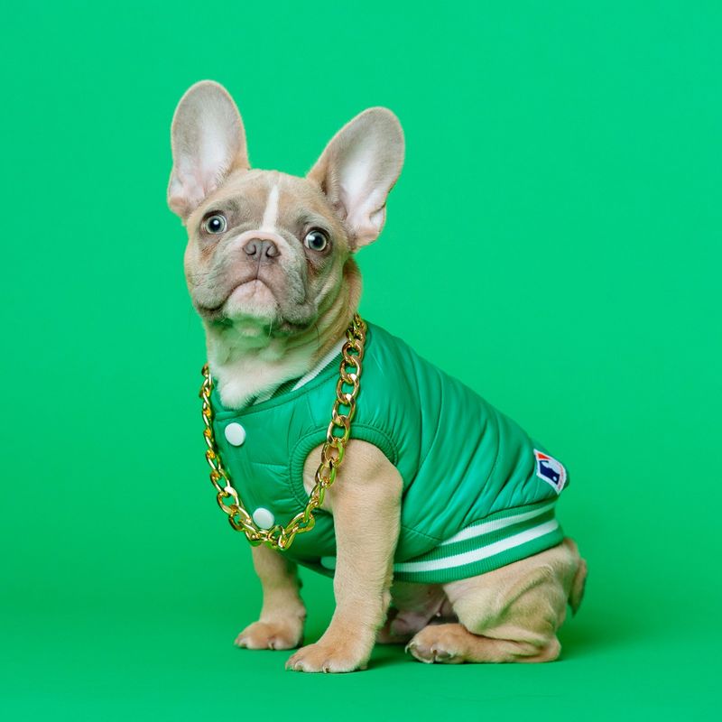 SAMPLE. Green Dog Sleeveless Jacket