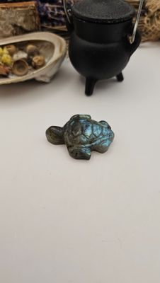 Labradoriet schildpad - A - 23 gram (1)