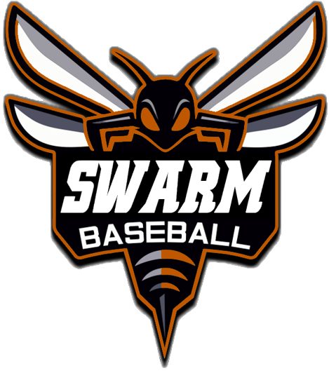 2-Player Swarm Rate 1-hour Lesson - Travis Phelps