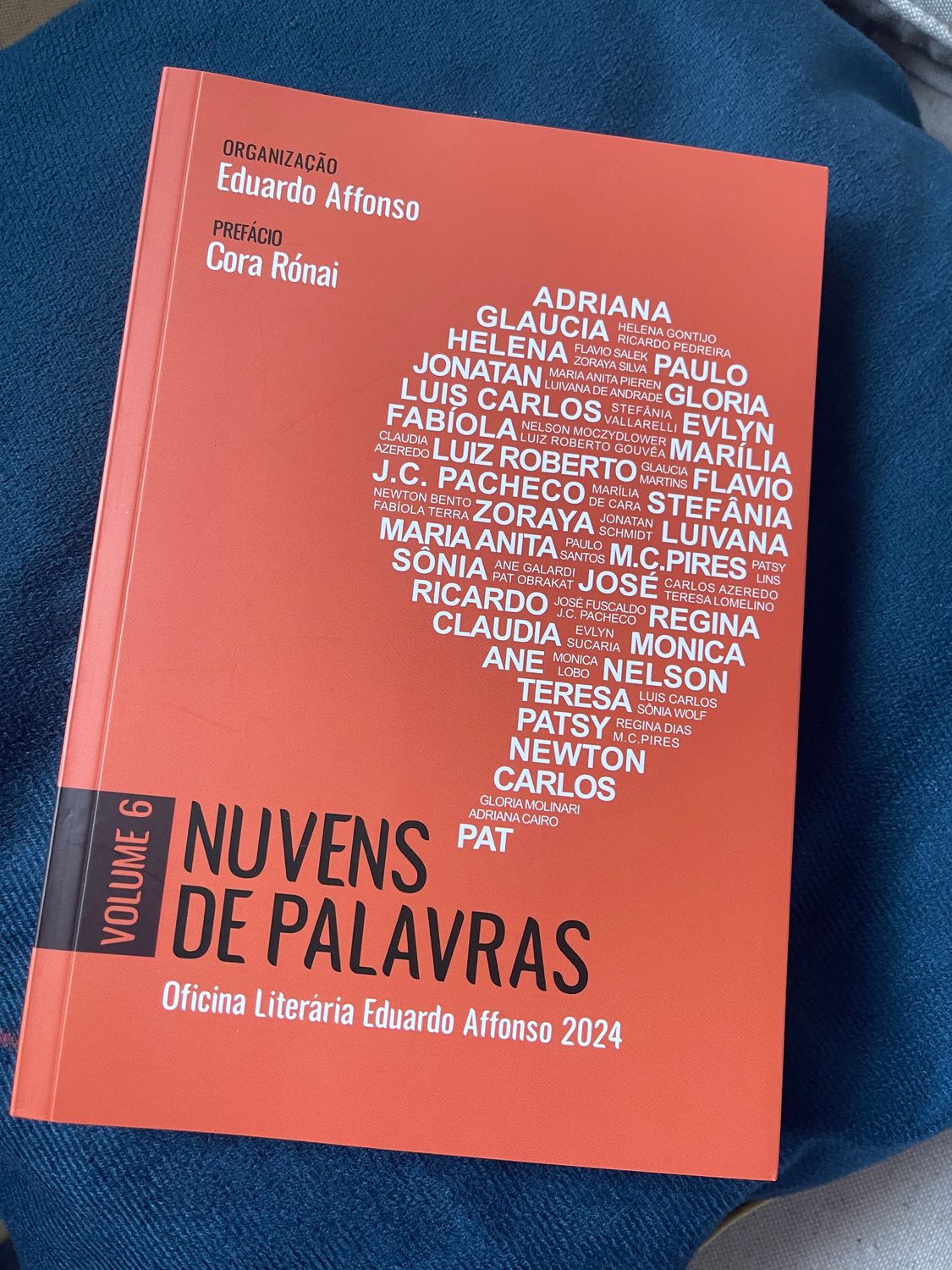 Livro Nuvens de Palavras Volume 6