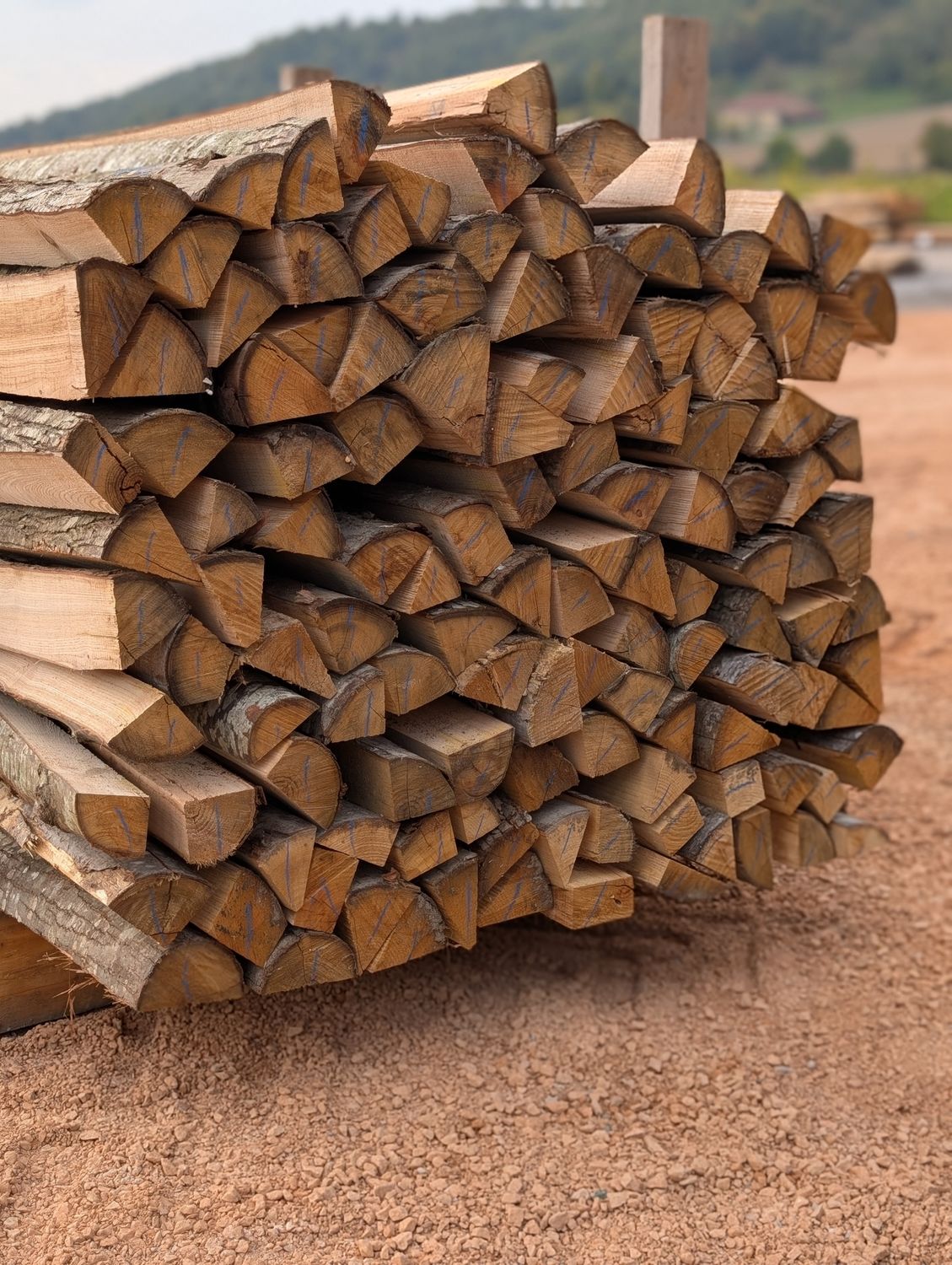 Piquets Châtaignier Non Ecorcé