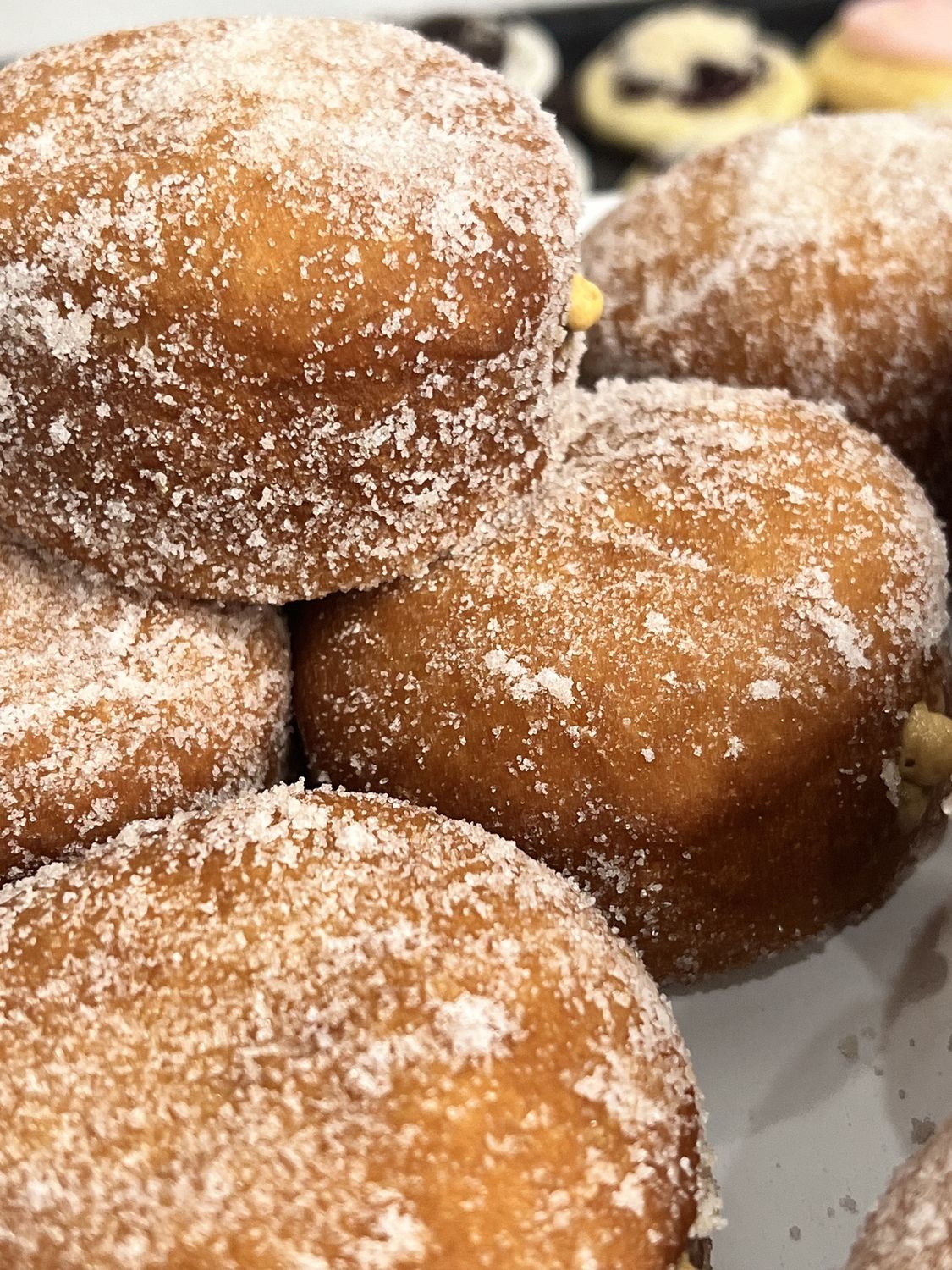 YEAST ROUND Pumpkin Cheesecake filled for Friday PICK UP Only