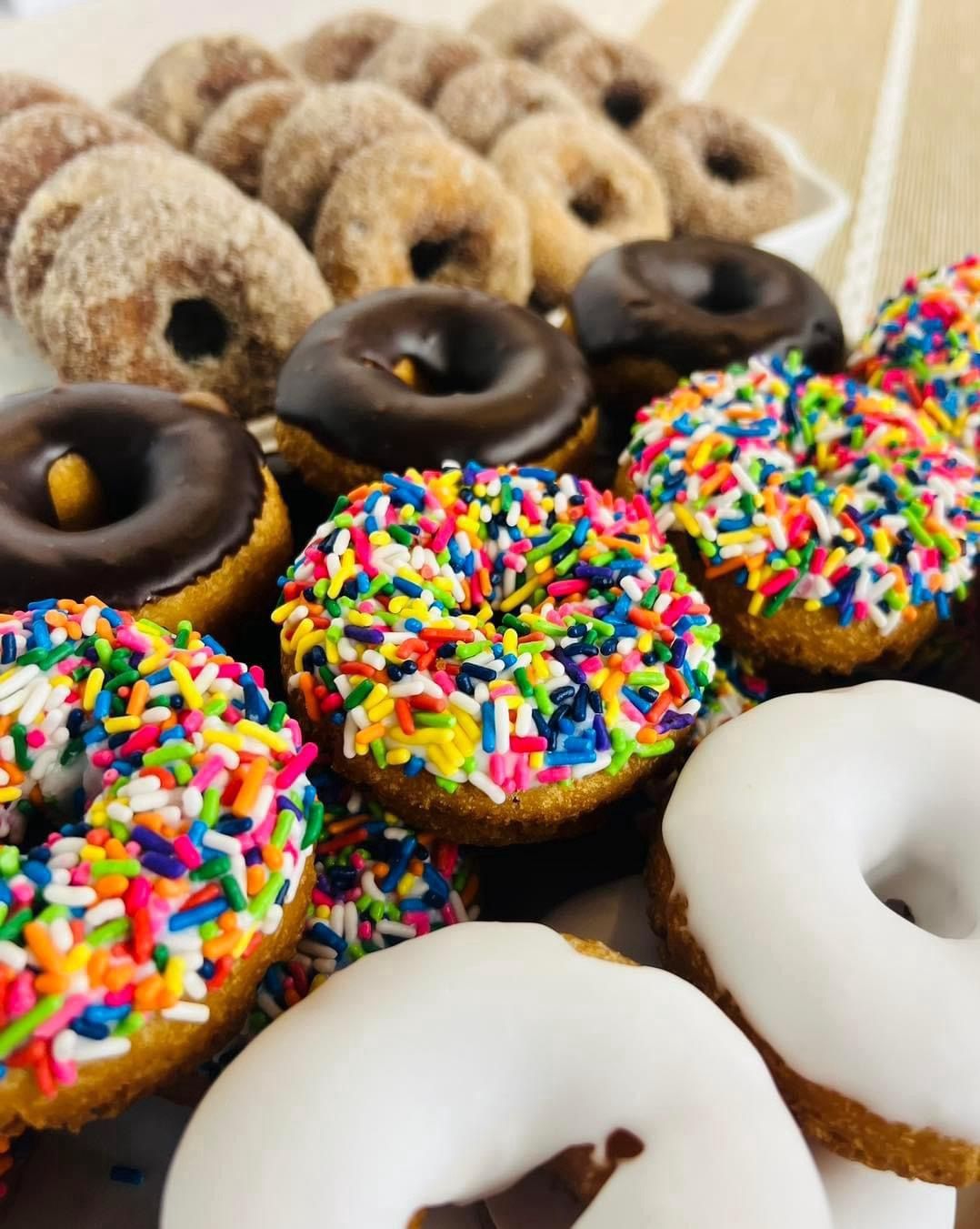 1 Dozen GFDF Assorted Cake Donuts FOR SHIPPING