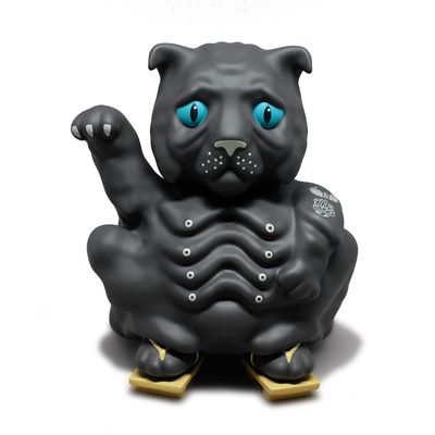 KURO CAT  Blue Eyed