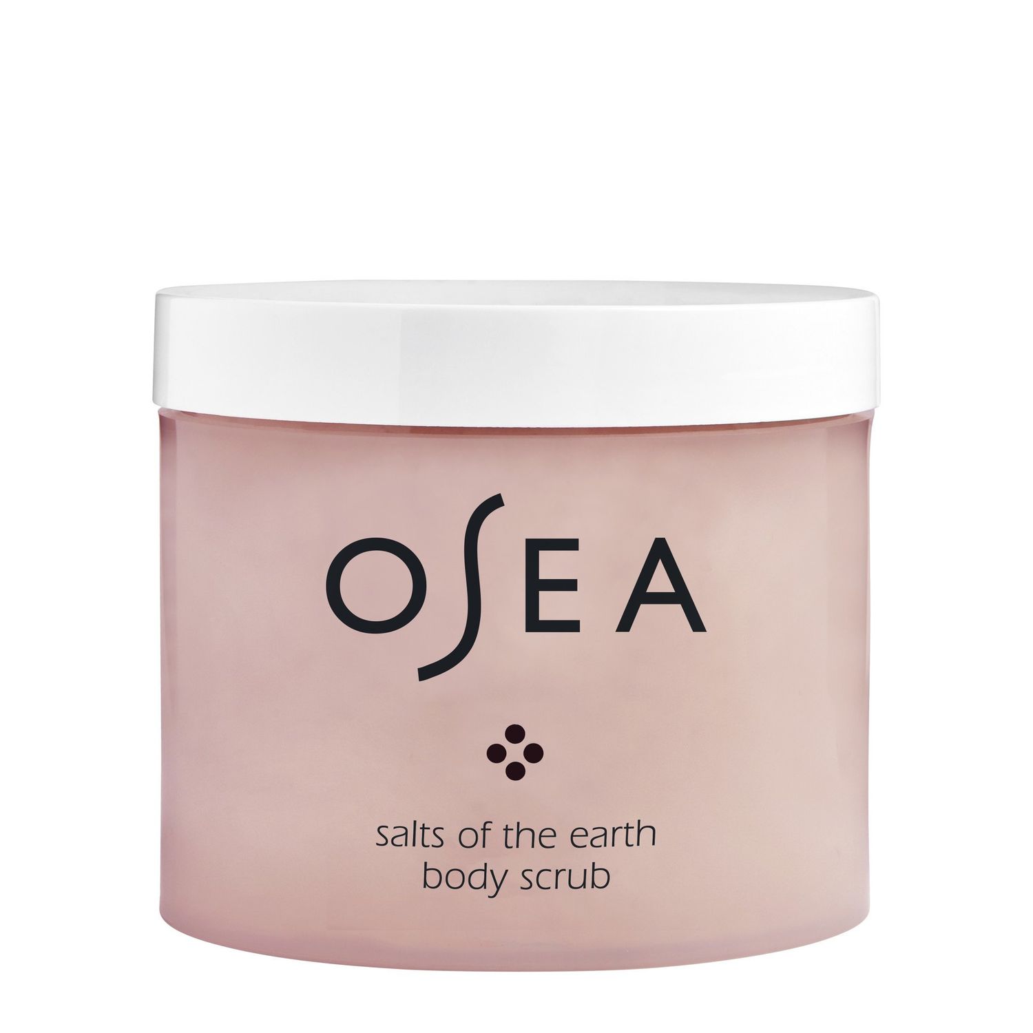 Salts of The Earth Body Scrub