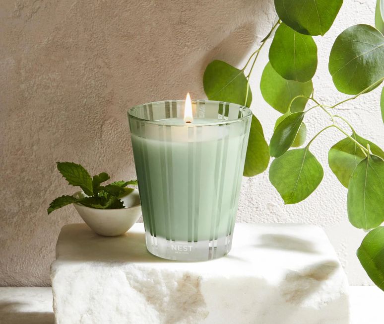 Wild Mint &amp; Eucalyptus Classic Candle