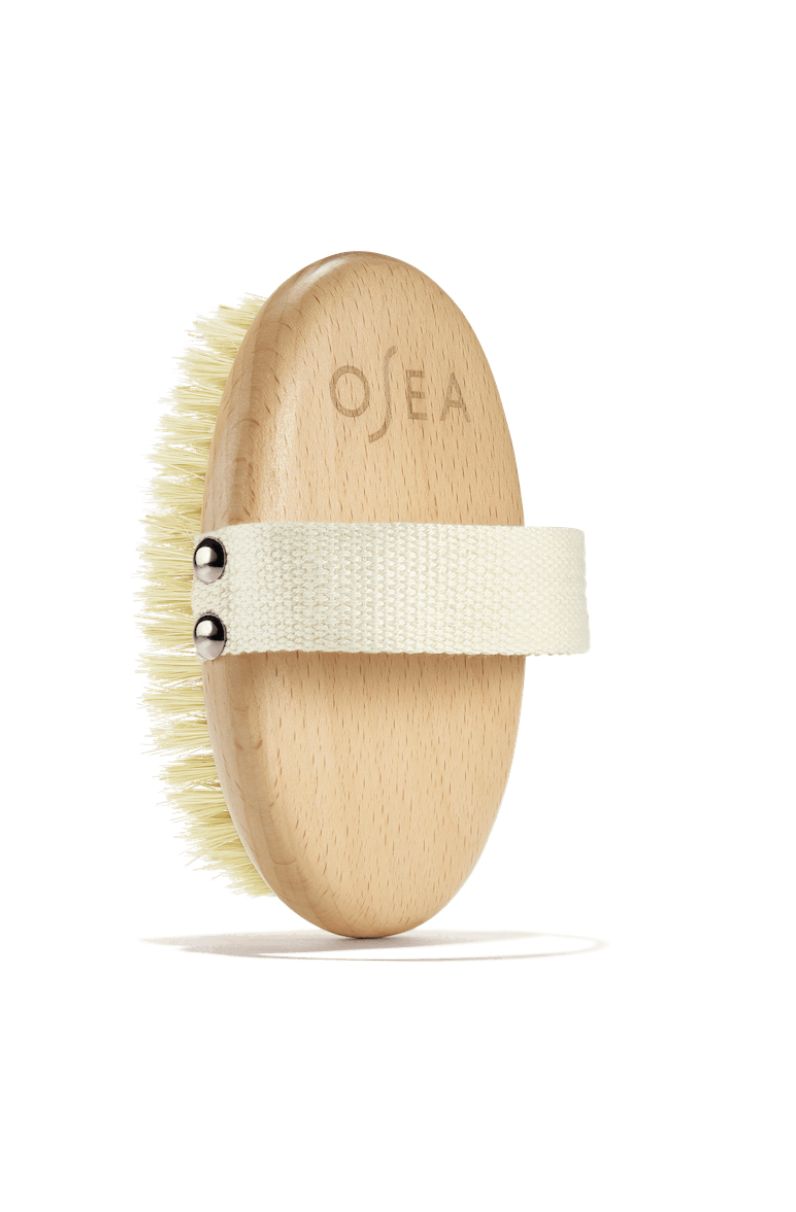 Plant Based Dy Brush- Beechwood &amp; Sisal Fibers