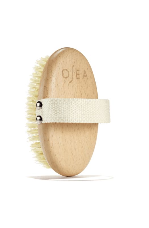 Plant Based Dy Brush- Beechwood &amp; Sisal Fibers