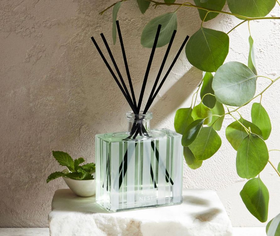 Wild Mint &amp; Eucalyptus Reed Diffuser