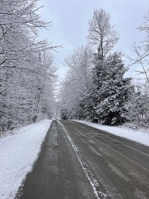 Stick Season Rebrand - Michaela Keller-Miller