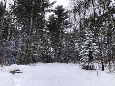 Tour de Finn | Riverview Loppet Recap and Finlandia Update