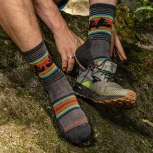 Darn Tough Willoughby Micro Crew Lightweight Sock w/Cushion