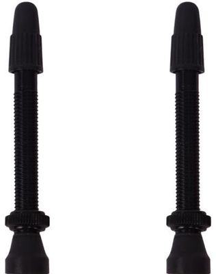 Tubeless Valves